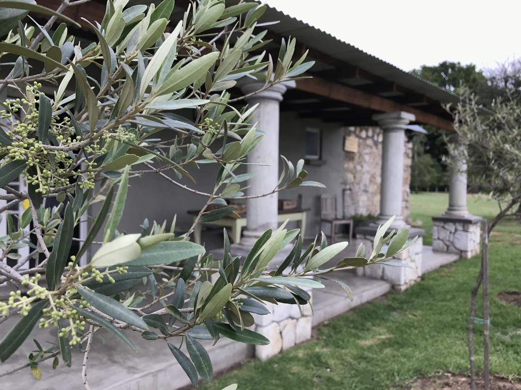Florence Guest Farm Otel Chrissiesmeer Dış mekan fotoğraf